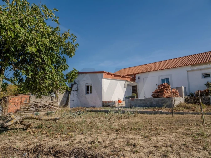 Moradia T2 para Venda em Olhalvo Foto 40