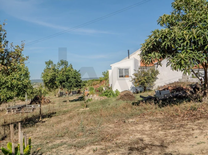 Moradia T2 para Venda em Olhalvo Foto 32