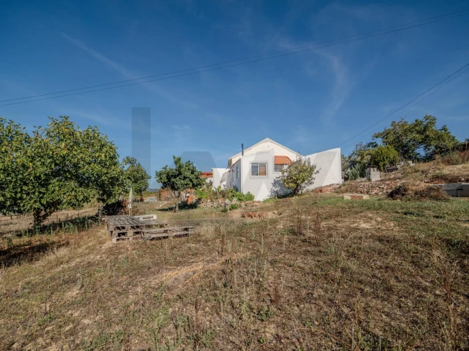 Moradia T2 para Venda em Olhalvo Foto 46