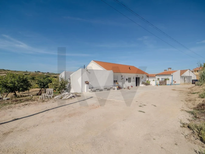 Moradia T2 para Venda em Olhalvo Foto 59