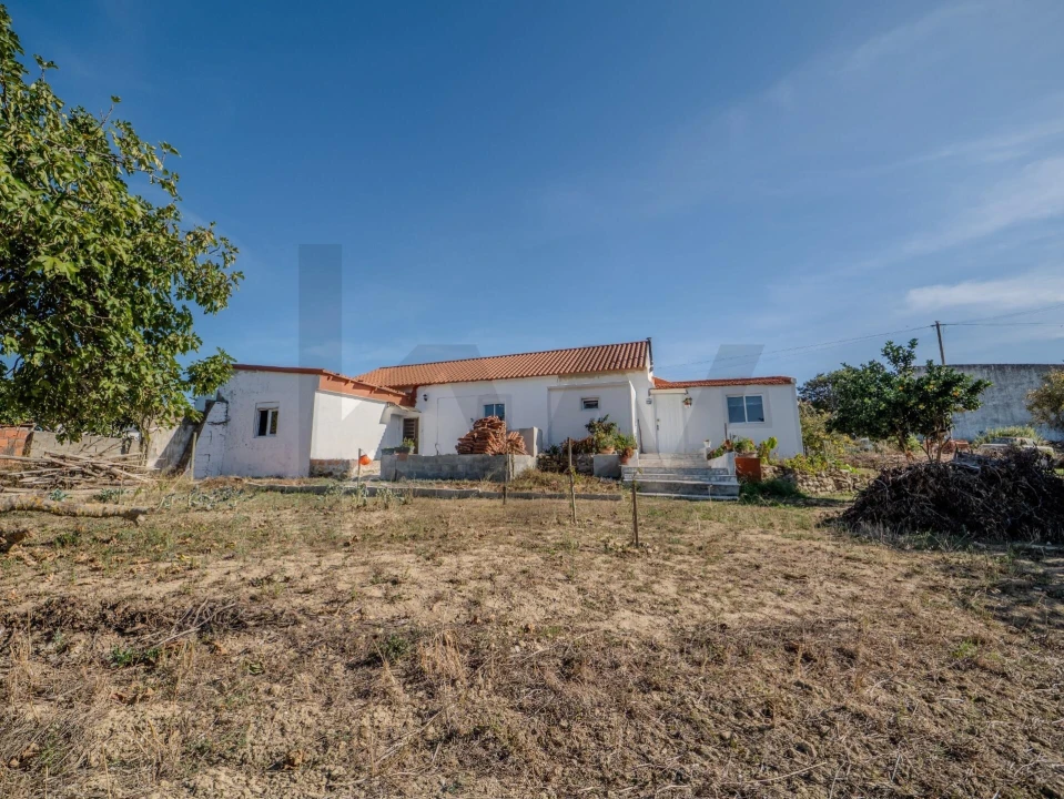 Moradia T2 para Venda em Olhalvo Foto 39