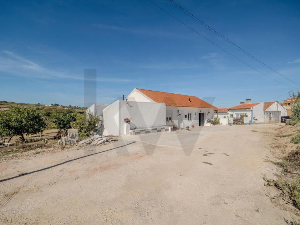 Moradia T2 para Venda em Olhalvo Foto 59