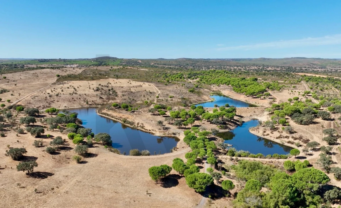 Quinta T13 para Venda em Azinheira dos Barros e São Mamede do Sádão Foto 61