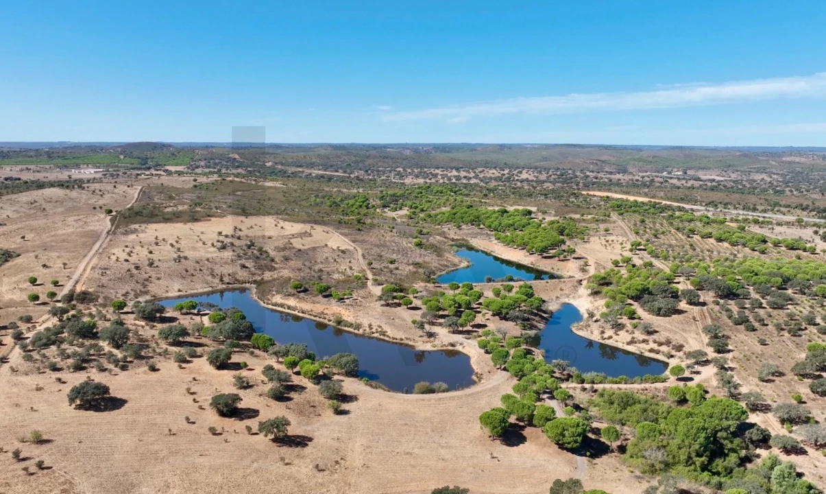 Quinta T13 para Venda em Azinheira dos Barros e São Mamede do Sádão Foto 60