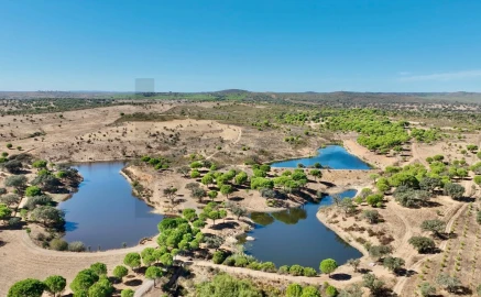 Quinta T13 para Venda em Azinheira dos Barros e São Mamede do Sádão