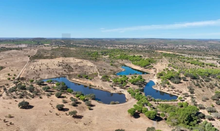 Quinta T13 para Venda em Azinheira dos Barros e São Mamede do Sádão