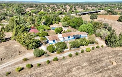Quinta T13 para Venda em Azinheira dos Barros e São Mamede do Sádão