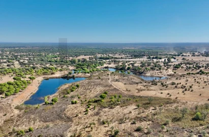 Quinta T13 para Venda em Azinheira dos Barros e São Mamede do Sádão