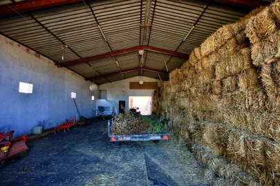 Quinta T13 para Venda em Azinheira dos Barros e São Mamede do Sádão