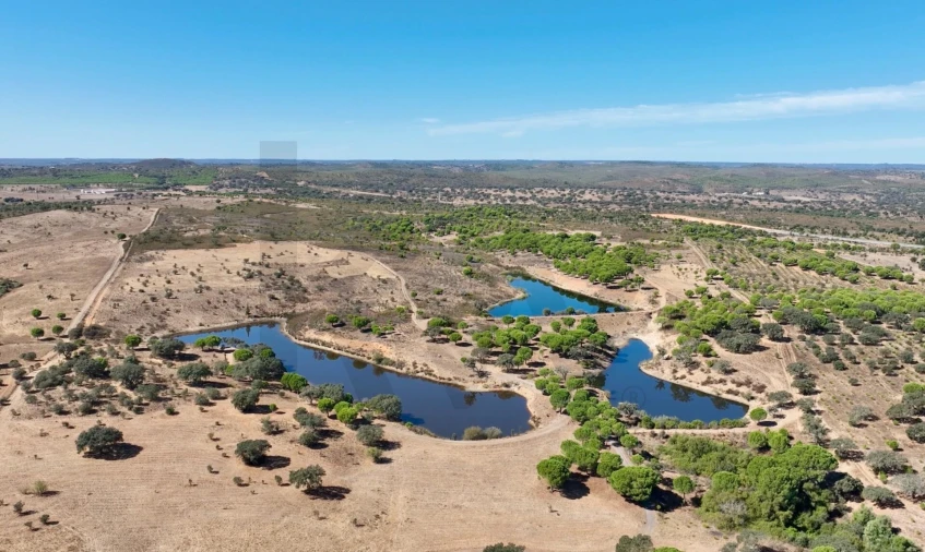 Quinta T13 para Venda em Azinheira dos Barros e São Mamede do Sádão Foto 60