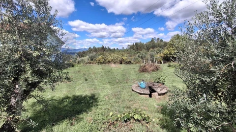 Terreno para Venda em Lajeosa do Dão