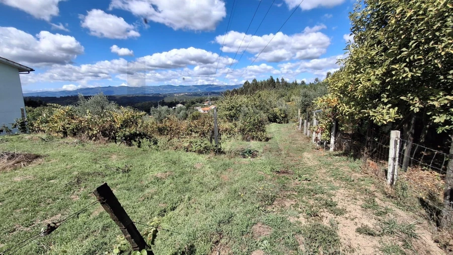 Terreno para Venda em Lajeosa do Dão Foto 3
