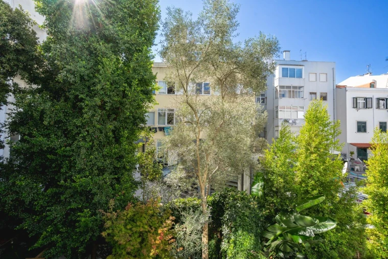 Apartamento T3 para Venda em Campo de Ourique Foto 28