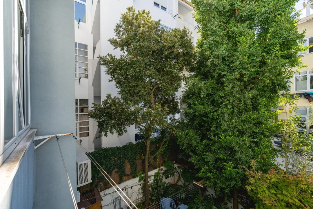 Apartamento T3 para Venda em Campo de Ourique Foto 27