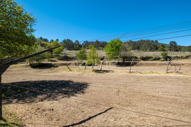 Terreno para Venda em Louredo Foto 22