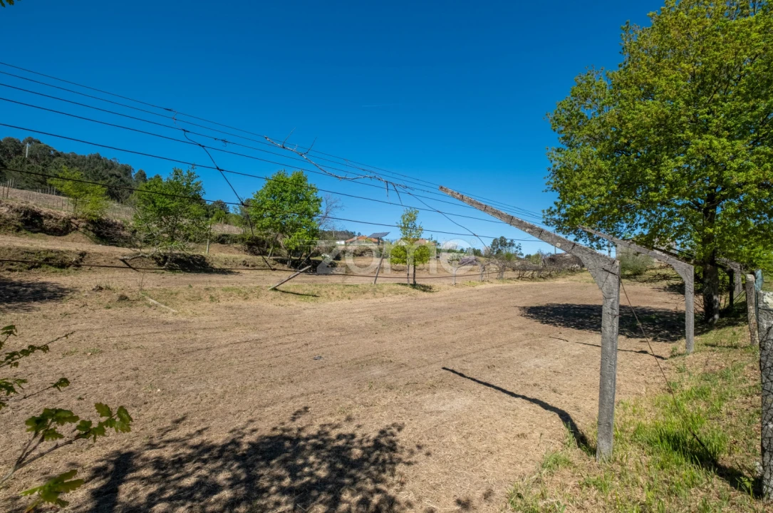 Terreno para Venda em Louredo Foto 23