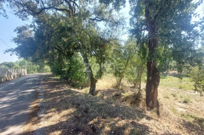 Terreno para Venda em Batalha