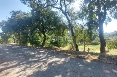 Terreno para Venda em Batalha