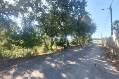 Terreno para Venda em Batalha