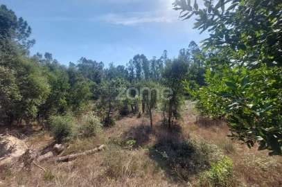 Terreno para Venda em Batalha