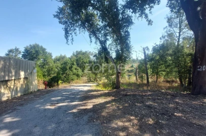 Terreno para Venda em Batalha