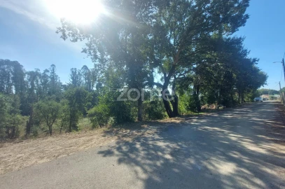 Terreno para Venda em Batalha