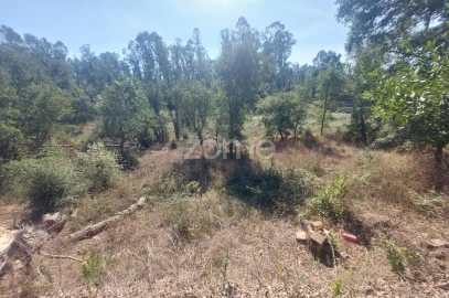 Terreno para Venda em Batalha