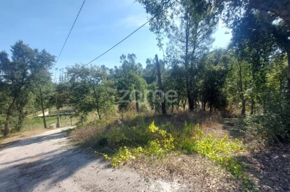Terreno para Venda em Batalha