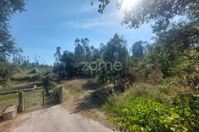 Terreno para Venda em Batalha
