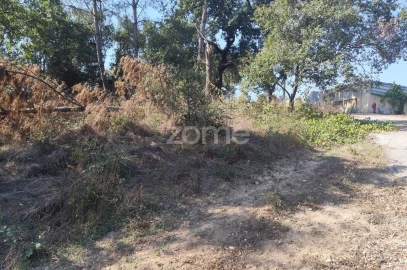 Terreno para Venda em Batalha