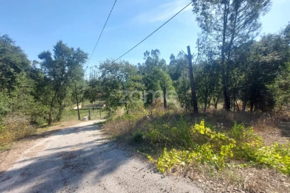 Terreno para Venda em Batalha