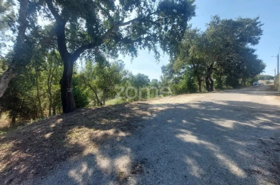 Terreno para Venda em Batalha