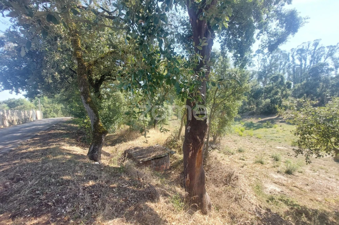 Terreno para Venda em Batalha Foto 5