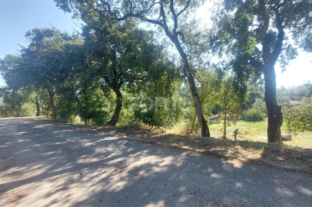 Terreno para Venda em Batalha Foto 6