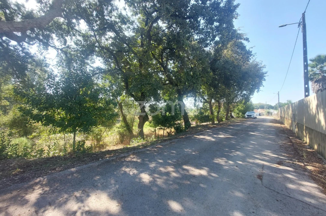 Terreno para Venda em Batalha Foto 7