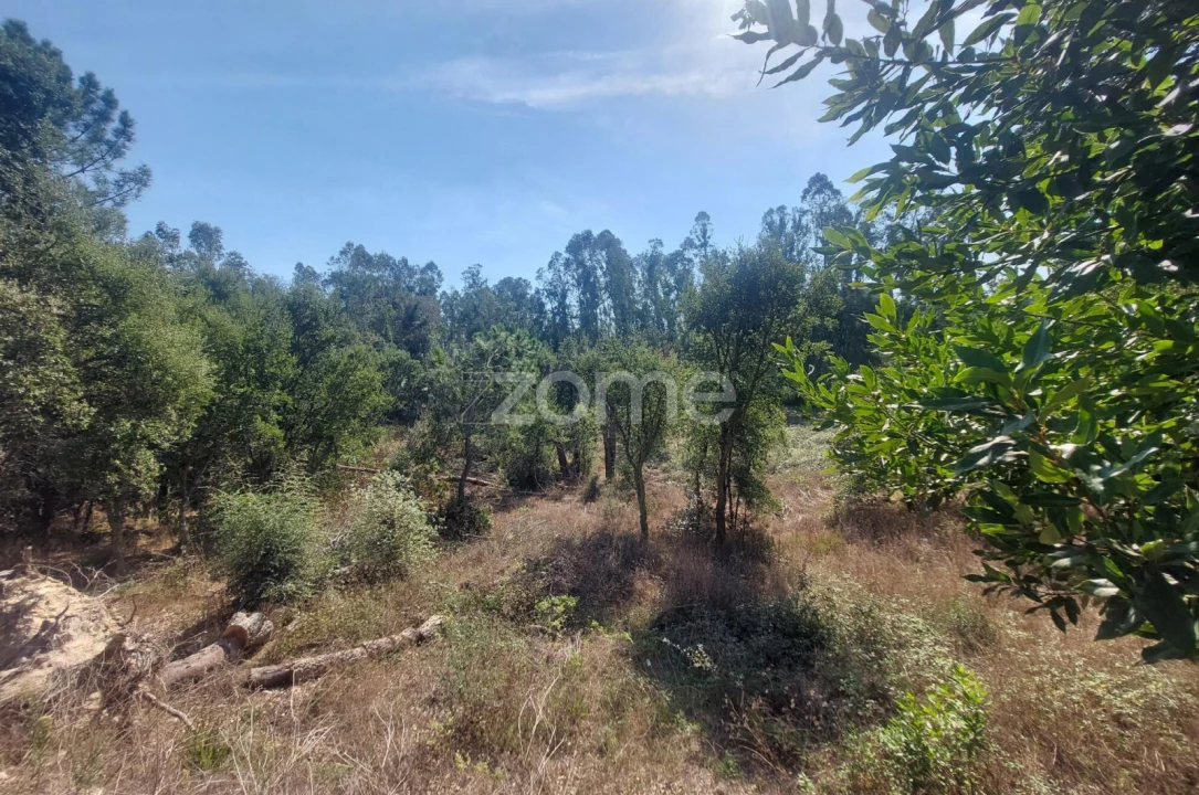 Terreno para Venda em Batalha Foto 1