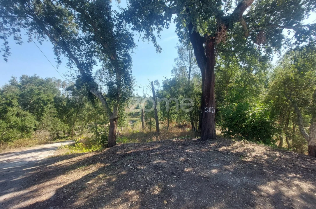Terreno para Venda em Batalha Foto 9