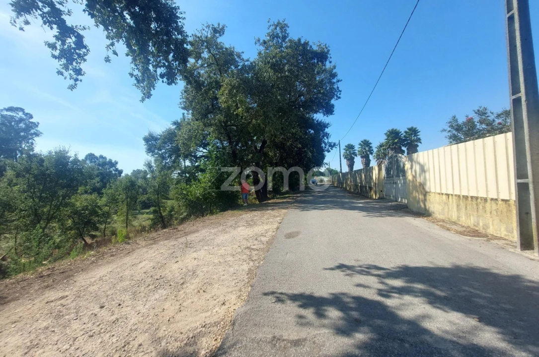 Terreno para Venda em Batalha Foto 11