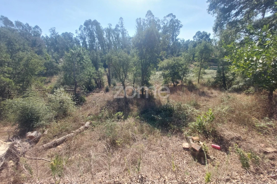 Terreno para Venda em Batalha Foto 15