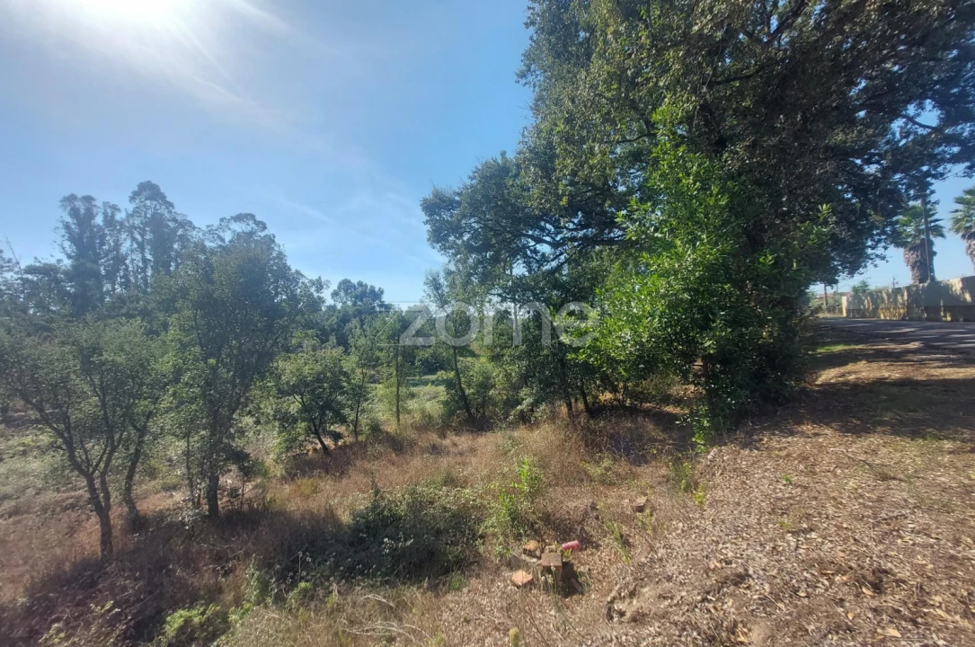 Terreno para Venda em Batalha Foto 16