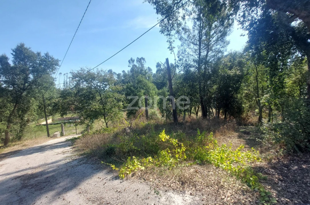 Terreno para Venda em Batalha Foto 17