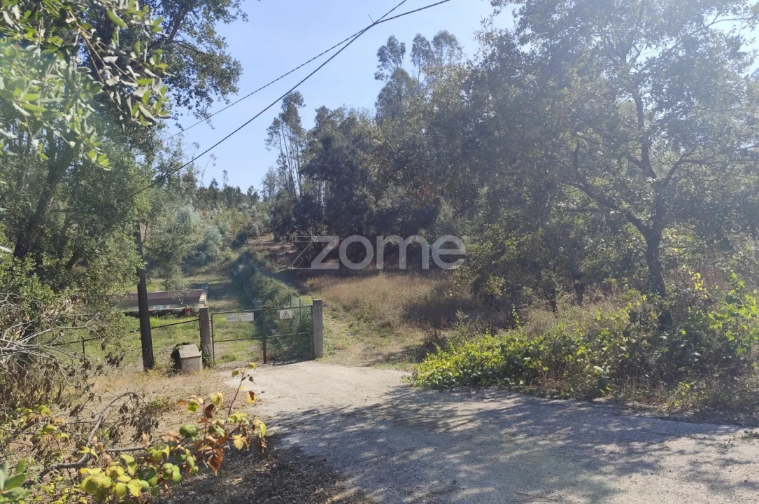 Terreno para Venda em Batalha Foto 24