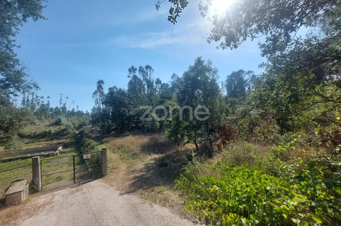 Terreno para Venda em Batalha Foto 13