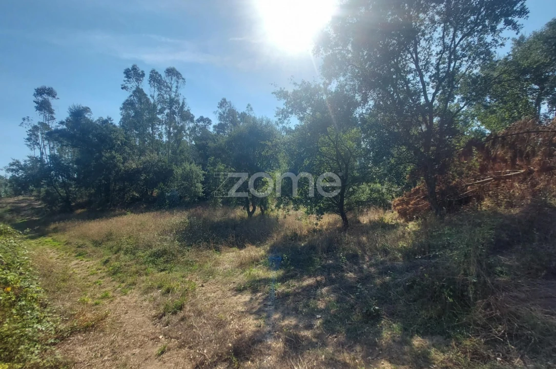 Terreno para Venda em Batalha Foto 18
