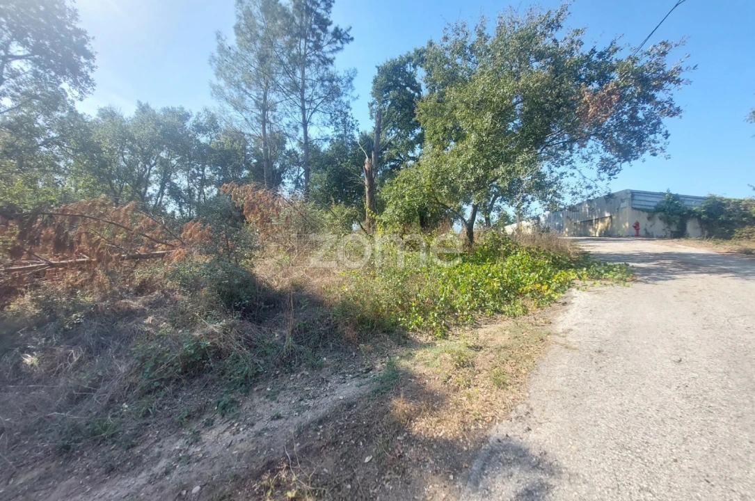 Terreno para Venda em Batalha Foto 19