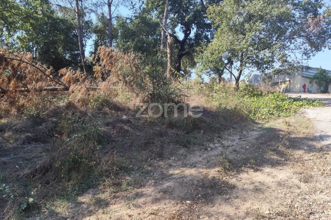 Terreno para Venda em Batalha Foto 25