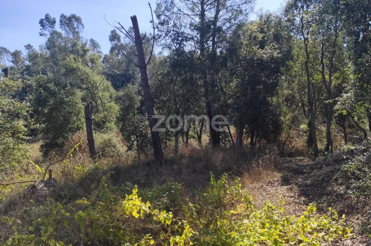 Terreno para Venda em Batalha Foto 4