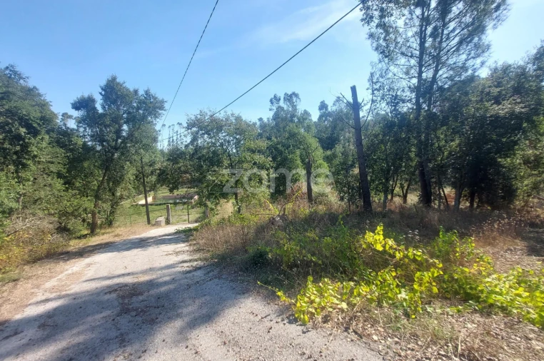 Terreno para Venda em Batalha Foto 22