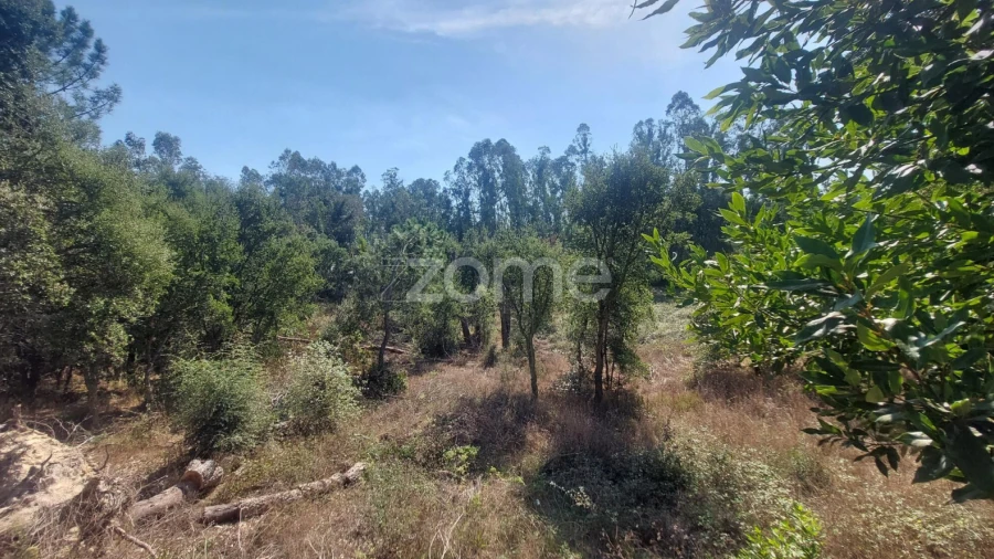 Terreno para Venda em Batalha