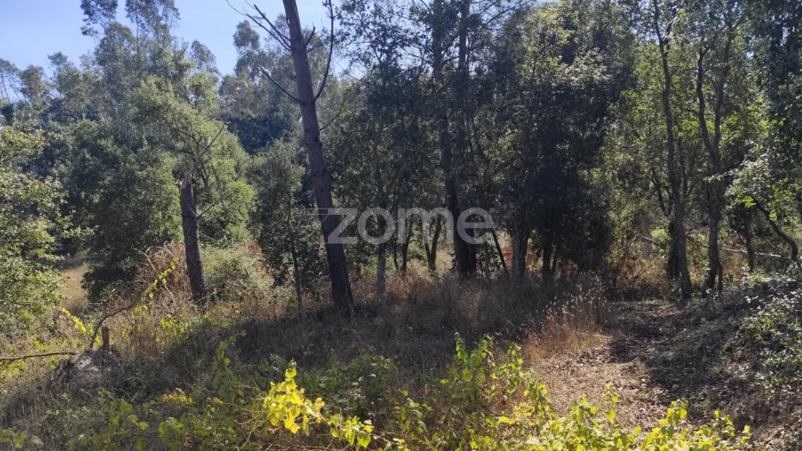Terreno para Venda em Batalha
